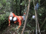 巴中:雨天一货车翻下200多米山崖 消防紧急救援 - 消防网