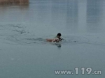 银川消防员深入冰水中救狗 生命都值得尊重 - 消防网