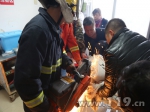 好奇害死猫 咸宁2岁男童手卡绞肉机消防紧急施救 - 消防网