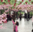 3月植物园打造“十里桃花”  女神节门票免费送 - 旅游局