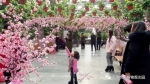 3月植物园打造“十里桃花”  女神节门票免费送 - 旅游局