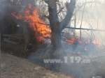 图为阿瓦提县一果园因烧荒发生火灾 - 消防网