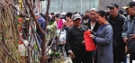 天津市进入植树高峰期 果树销售红红火火 - 农业厅