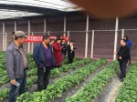 塘沽农广校组织特色种植业学习考察培训班 - 农业厅