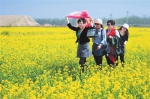 静海区双塘镇西双塘村油菜花开十里香 - 农业厅