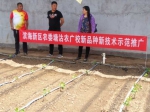 市农广校塘沽分校组织葡萄新品种示范推广活动 - 农业厅