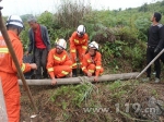 黄牛失足坠洞被困24小时 贵州大方警民合力紧急施救 - 消防网