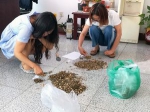 蓟州区植保植检站提升服务意识 持续做好虫情测报工作 - 农业厅