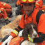 四川新磨村山体垮塌 消防员与搜救犬持续搜救 - 消防网