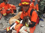 四川新磨村山体垮塌 消防员与搜救犬持续搜救 - 消防网