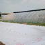 天津市蔬菜产业技术体系水肥岗位团队创新性建立全国首个设施棚面新型集雨水窖水肥一体化技术示范 - 农业厅