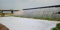 天津市蔬菜产业技术体系水肥岗位团队创新性建立全国首个设施棚面新型集雨水窖水肥一体化技术示范 - 农业厅