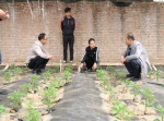 天津市蔬菜产业技术体系水肥岗位团队建立全国首个设施棚面新型集雨水窖 - 农业厅