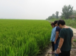市种植业发展服务中心对津南、武清等区开展土肥水工作督导 - 农业厅