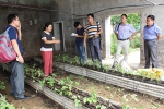 市土肥站技术人员到蓟州区种植中心园区调研 - 农业厅