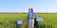 国际锌协和全国农技中心专家来津调研锌肥试验和农膜生产现状 - 农业厅