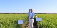 国际锌协和全国农技中心专家来津调研锌肥试验项目 - 农业厅