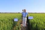 国际锌协和全国农技中心专家来津调研锌肥试验项目 - 农业厅