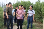 市种植业中心副书记陈吉顺同志到玉米场调研 - 农业厅