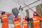 浙江上演人猴大战 消防安全救下猴子 - 消防网