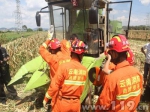 广东罗平一男子臀部被收割机卡住 消防成功救助 - 消防网