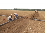 蓟州区土壤肥料科利用秋收有利时节积极开展水肥一体化示范项目建设 - 农业厅