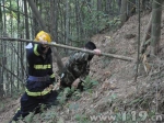 野猪夹伤人 江苏消防等多方警力联合救援 - 消防网