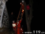 小孩右脚被卡树上 保山龙陵消防紧急救助 - 消防网