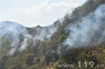 马坎生态园山火肆虐 消防联合多部门扑救十多个小时 - 消防网