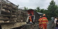 车祸导致一人被困 湖南消防成功营救 - 消防网