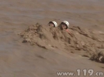 新疆：夫妇被洪水围困 消防官兵冒险营救 - 消防网