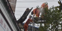 大树倒塌“翻墙”进学校 贵州纳雍消防分段锯下 - 消防网