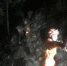 女子与家人置气后失踪 云南兰坪消防深夜山中搜寻 - 消防网