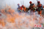 甘肃森林消防开展春季实战演练 提高应急处理能力 - 消防网