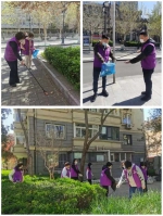 市妇联组织巾帼护绿志愿服务活动 - 妇联