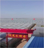 滨海新区农委设施冬枣栽培考察团赴陕西大荔学习考察 - 农业厅