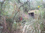 雨天货车侧翻十米山沟 当阳消防生死营救 - 消防网