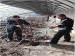 华北地区规模最大技术最高智能温室冬枣科技园区完成栽植 - 农业厅