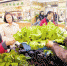 天津市盆栽蔬菜上市受捧 - 农业厅