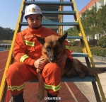 退伍消防兵的牵挂：我能带走搜救犬战友吗？ - 消防网