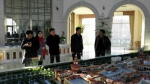市旅游局赴武清区开展调研工作 - 旅游局