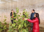 静海区种植业发展服务中心开展农产品（种植业）质量安全监管工作 - 农业厅