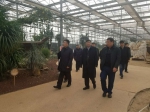 市旅游局阳世昊局长带队到滨海新区进行节前检查 - 旅游局
