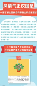 风清气正议国是 一图了解全国两会有哪些会风会纪要求 - 纪检监察局