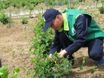 蓟州区植保站组织参与“以瓢治蚜”绿色防控技术培训 - 农业厅