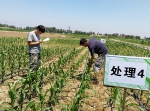 市土肥站“以老带新促成长、虚心学习提技能” - 农业厅