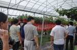 学习生产技能  实践方出真知 - 农业厅