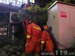 老人被困雨棚 四川重庆渝中消防成功营救 - 消防网